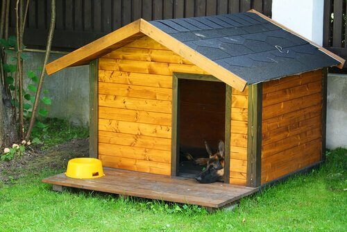 köpek kulübesini süslemek