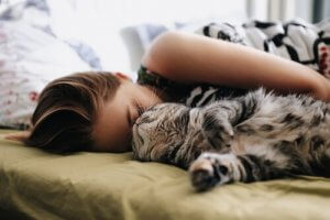 Kedinizle Yan Yana Uyumak İçin Tavsiyeler