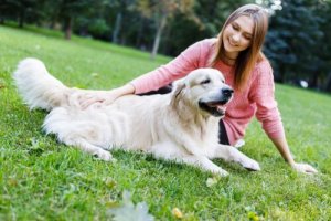Köpek Eğitiminde Sakinleştirici İşaretler