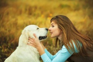 Köpekler Kelimeleri ve Komutları Nasıl Algılar?