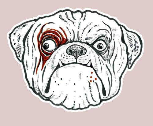 bulldog çizimi