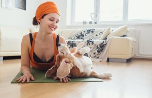 Doganın Köpekler İçin Faydaları