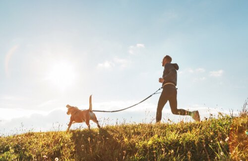 köpeğiyle koşan adam