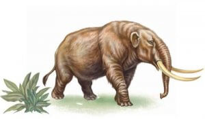 Soyu Tükenen Mastodon