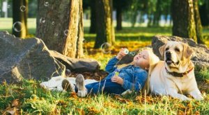 Seveceğiniz 5 Sakin Köpek Irkı