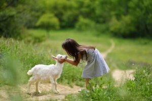 Keçi Bakımı: Bilmeniz Gereken 4 Şey