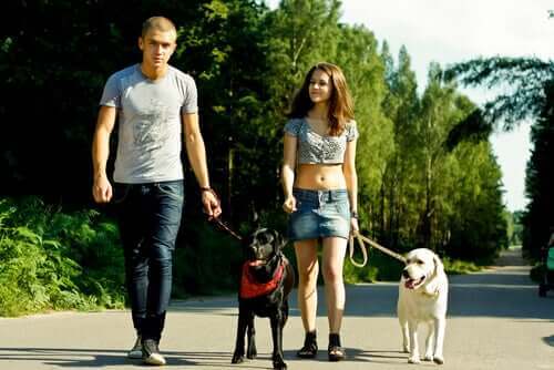 köpek yürüten kadın ve adam
