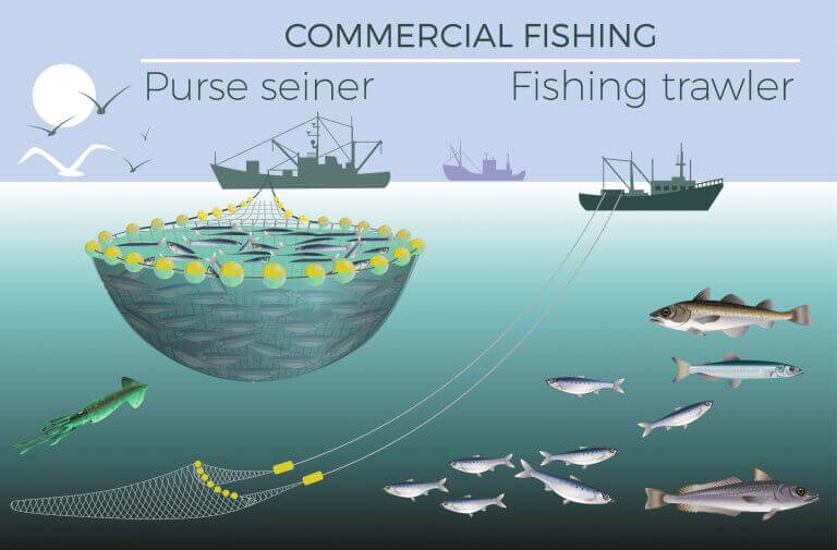 balıkçılık ekonomisi