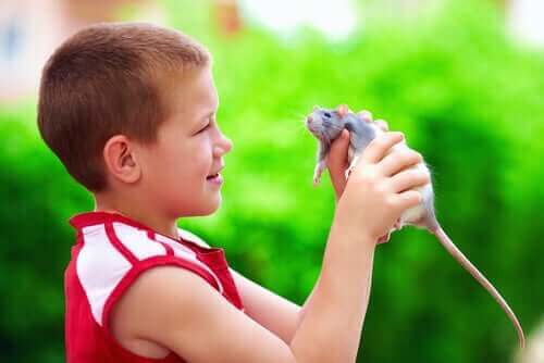 elinde sıçan olan çocuk