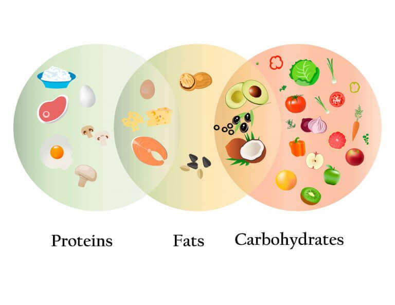 protein yağ ve karbonhidratlar