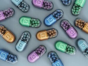 Köpek Mamalarında Sentetik Vitaminler ve Mineraller