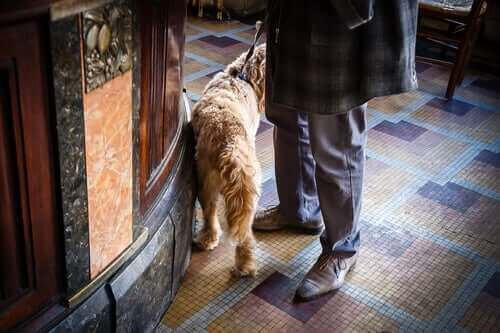 köpek sahibiyle bara giriyor