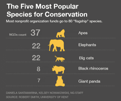 korunan popüler hayvanlar
