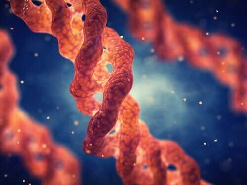 molekül dna görseli ve köpeklerde eklem problemleri