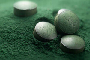 Köpeklere Spirulina Özü İyi Gelir mi?