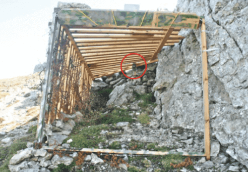ahşap tuzaklar ve vahşi hayvanları yakalamak