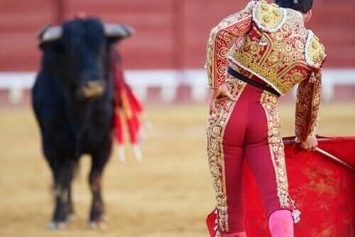 hayvan hakları ve hayvanları koruma yasaları:boğa ve matador