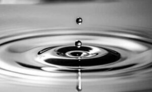 Kolloidal Gümüş: Köpeklerde Bağışıklığa Etkileri