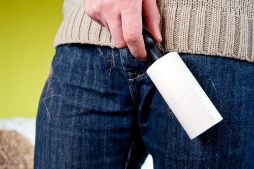 köpek tüylerini temizleyen kadın