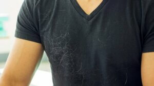 Evinizdeki Köpek Kıllarından Nasıl Kurtulunur