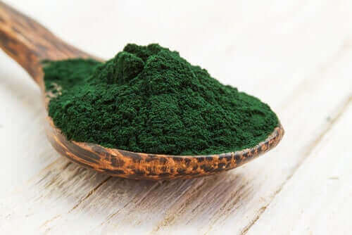 toz halinde yeşil spirulina