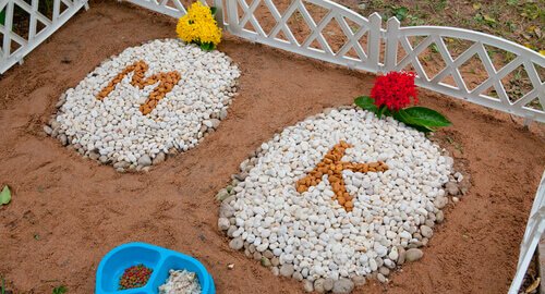 evcil hayvan mezarı