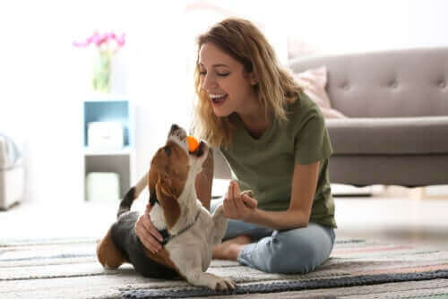 Köpeği ile oyun oynayan bir kişi.