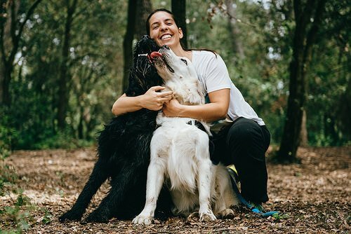 köpek ile sahibi