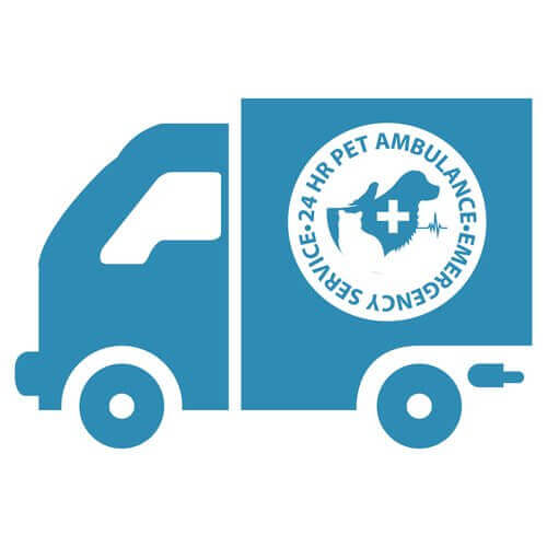 acil durumlarda mobil veteriner