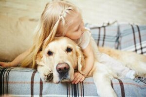 Köpeği Olan Çocuklar Daha Bağımsız