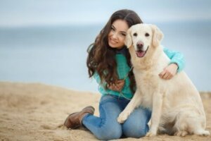 Yatakta dinlenen köpekler için egzersiz çok önemli.
