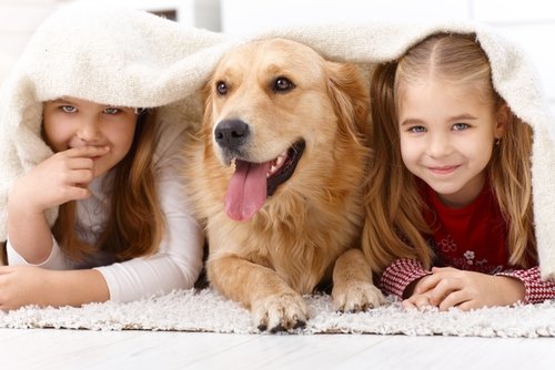 Labrador köpeği olan çocuklar.