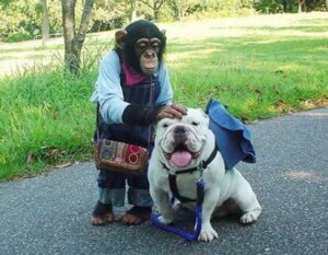 Kıyafetli Pankun ve James