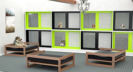 Köpek oteli
