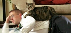 Kedinizle İlişkinizi Güçlendirmek