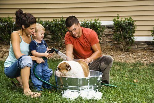 bahçede köpeği yıkayan aile