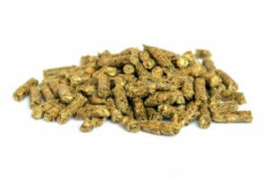 Laboratuvar farelerine verilen yem