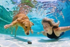 Rus İcadıyla Köpekler Su Altında Nefes Alabilecek