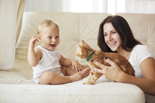 sarı saçlı bebek ve sevimli kedi