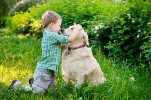 Çocuğunuz Köpeğinizin Vücut Dilini Anlamalı
