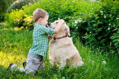 Çocuğunuz Köpeğinizin Vücut Dilini Anlamalı