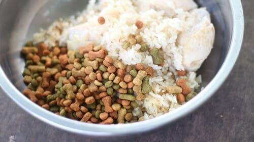 karışık köpek maması