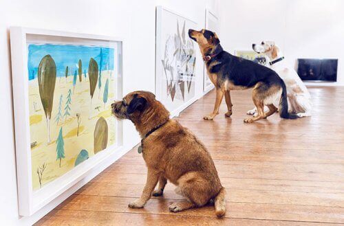 Dünyadaki İlk Köpekler İçin Sanat Sergisi