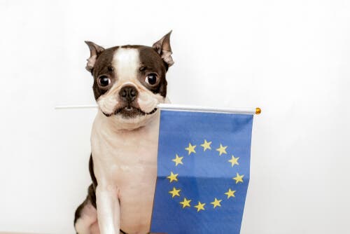 Evcil Hayvanların Korunmasına Dair Avrupa Sözleşmesi
