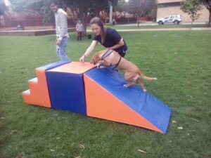 Body Dog spor salonunun bahçesi