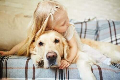 sarı golden köpek ve çocuklu aileler