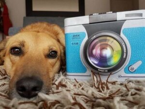 Bir Köpek Tarafından Yazılan Kitap