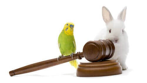 Yargıç tokmağı üstünde kuş ve arkasında tavşan