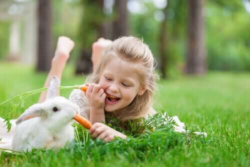 havuç yiyen tavşan ve tavşan terapisi