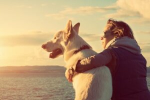 Köpeğiyle manzaraya bakan bir kadın
